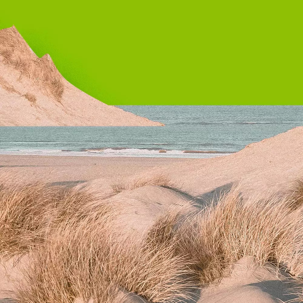 Dunes de sable, vue sur la mer