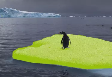 Eco Anxiety - Penguin on Island