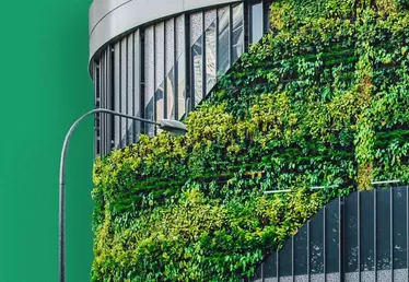 Immeuble végétalisé dans une ville