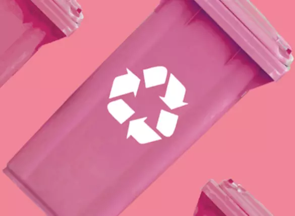 Recycling Challenge Up To Us