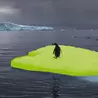 Eco Anxiety - Penguin on Island