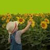 child in front of a field of sunflowers