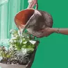 A woman waters her plants